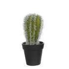 Cactus vert artificiel D12 x H.18 cm